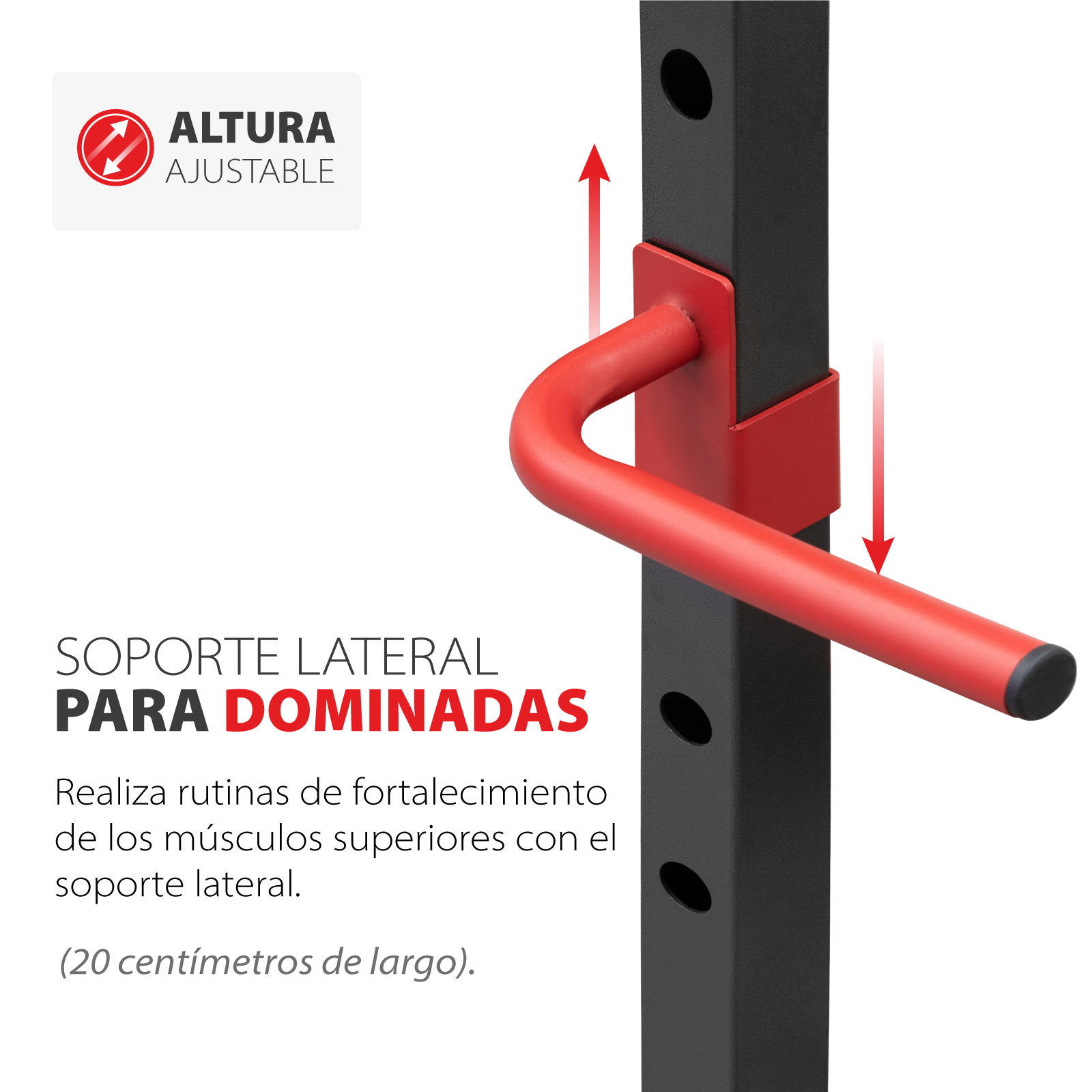 Estación Fitness Altera SQTSM Jaula de Entrenamiento.