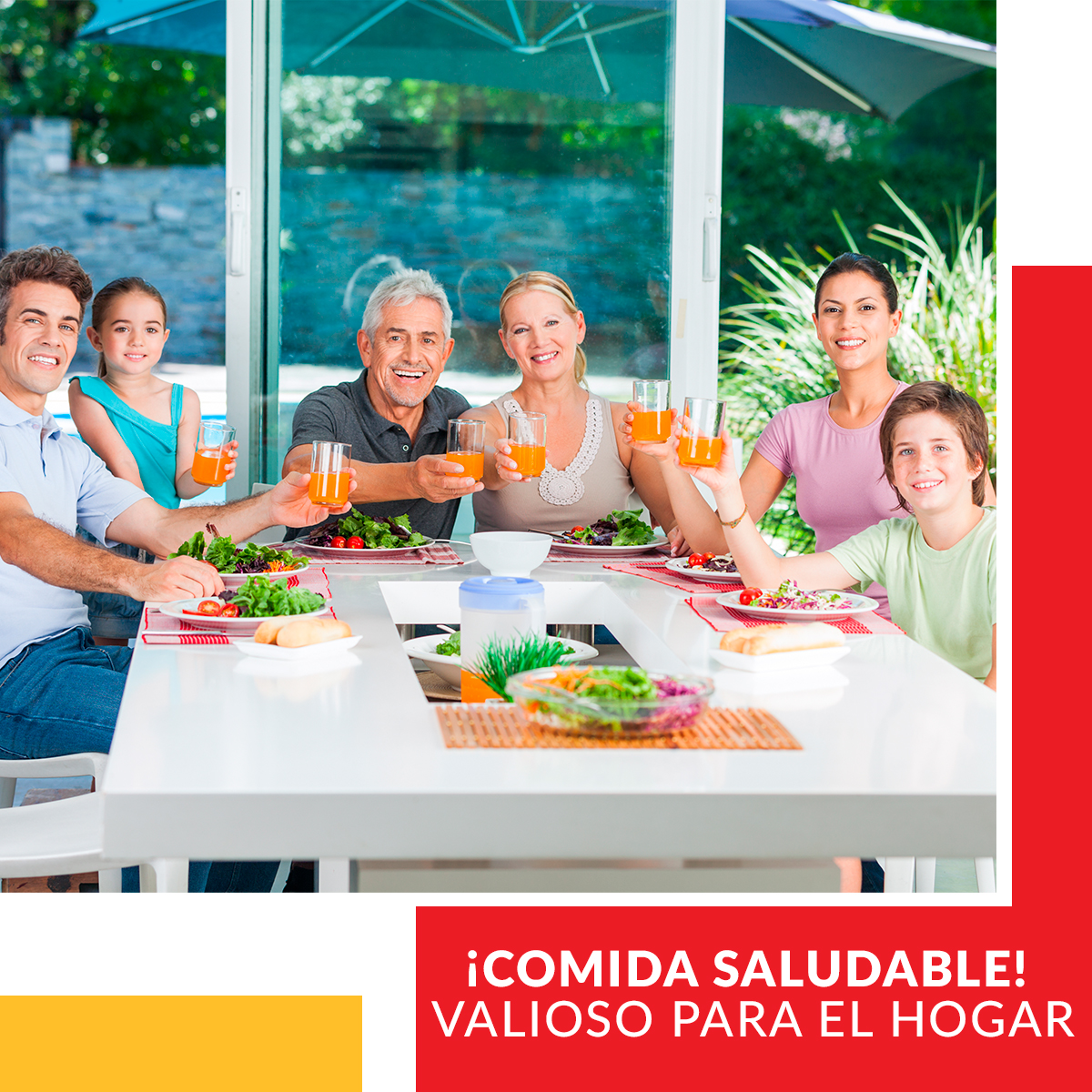 Rallador, Rebanador y Cortador único con selectores de grosor para Frutas, Verduras y Quesos Multifuncional Ready Cook Safety Slicer, cambiador de cuchillas integrado 