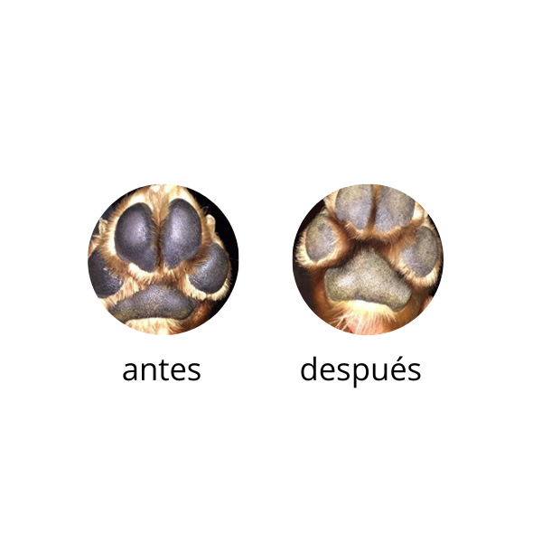 BeSoft Balsamo Hidratante para patitas de perro y gato presentacion viajera