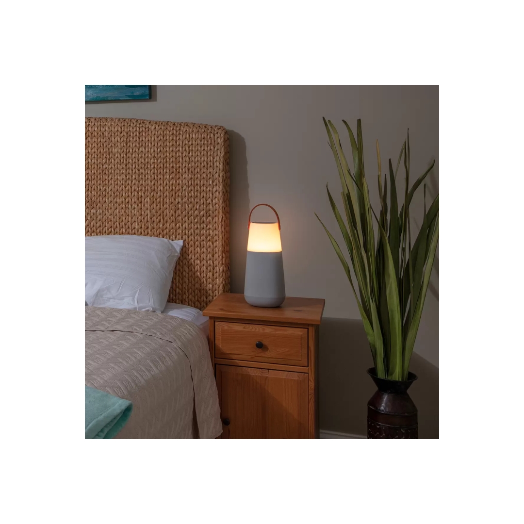 Bocina ION Bright Max Bluetooth Sonido 360 IPX5