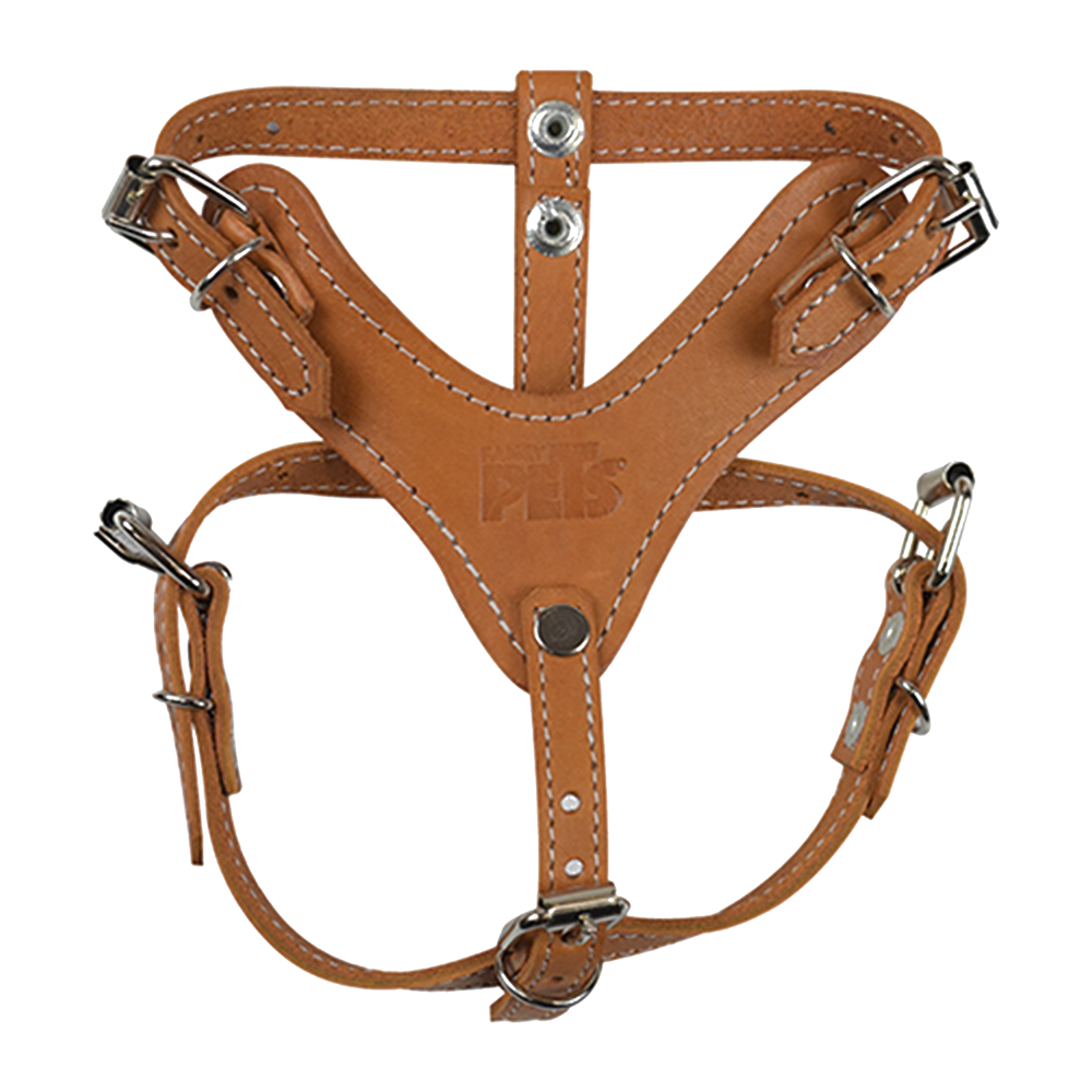 Fancy Pets Xtreme Pechera de Piel para Perro Talla 1 Color Café