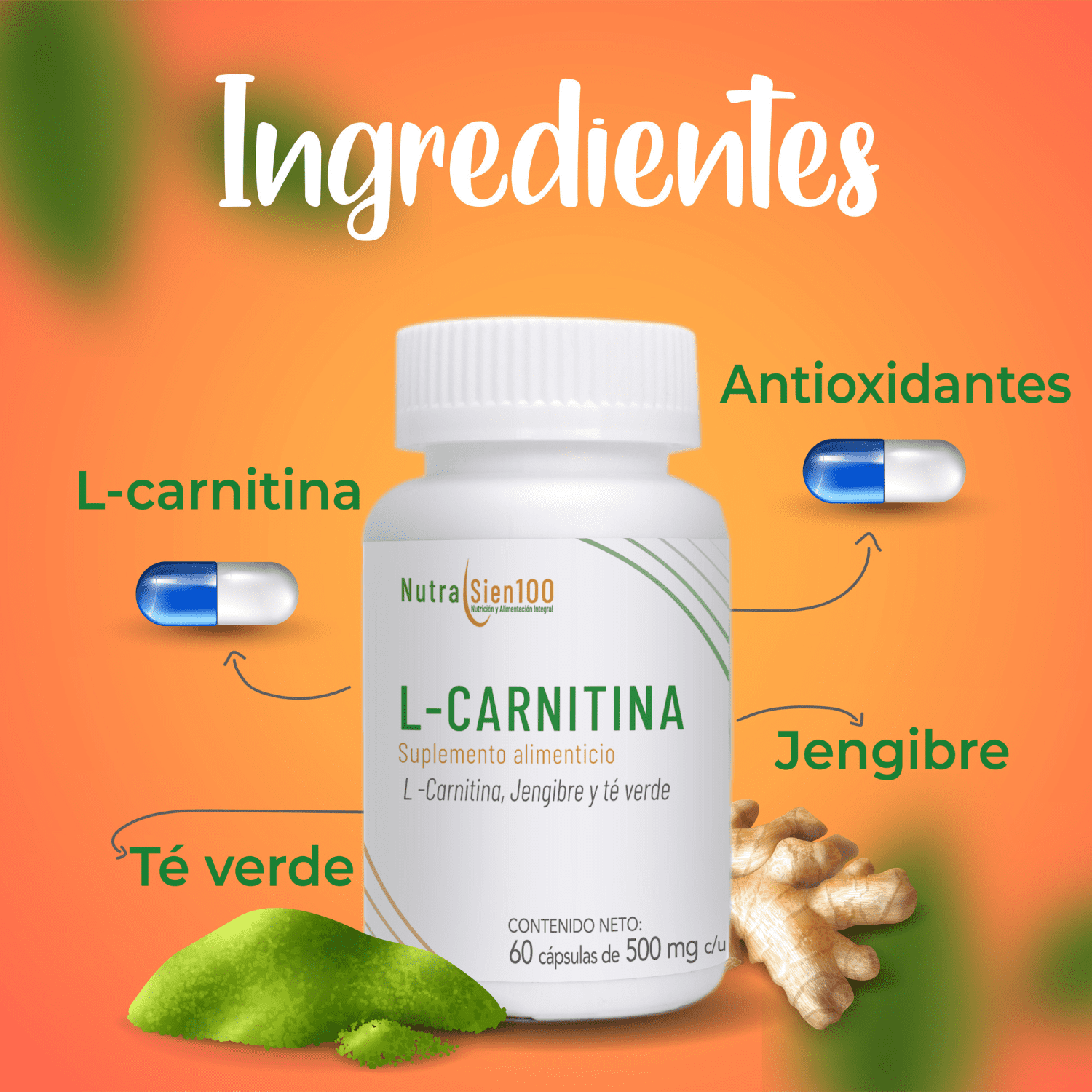 Nutrasien100 L carnitina cápsulas con jengibre y té verde. Termogénico. Pre entreno. Keto. Apto para hombres y mujeres. 60 cápsulas=60 días.