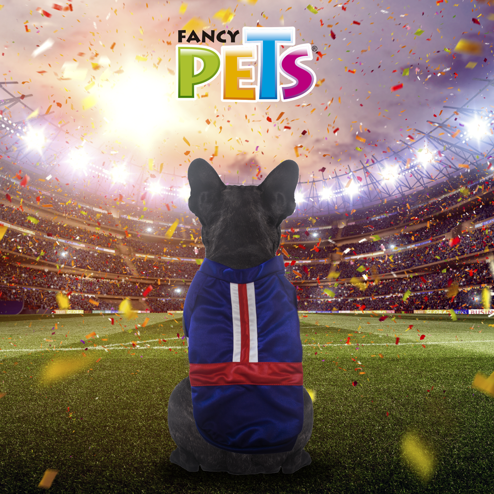 Fancy Pets Playera Soccer Bandera  para Perro  Chico