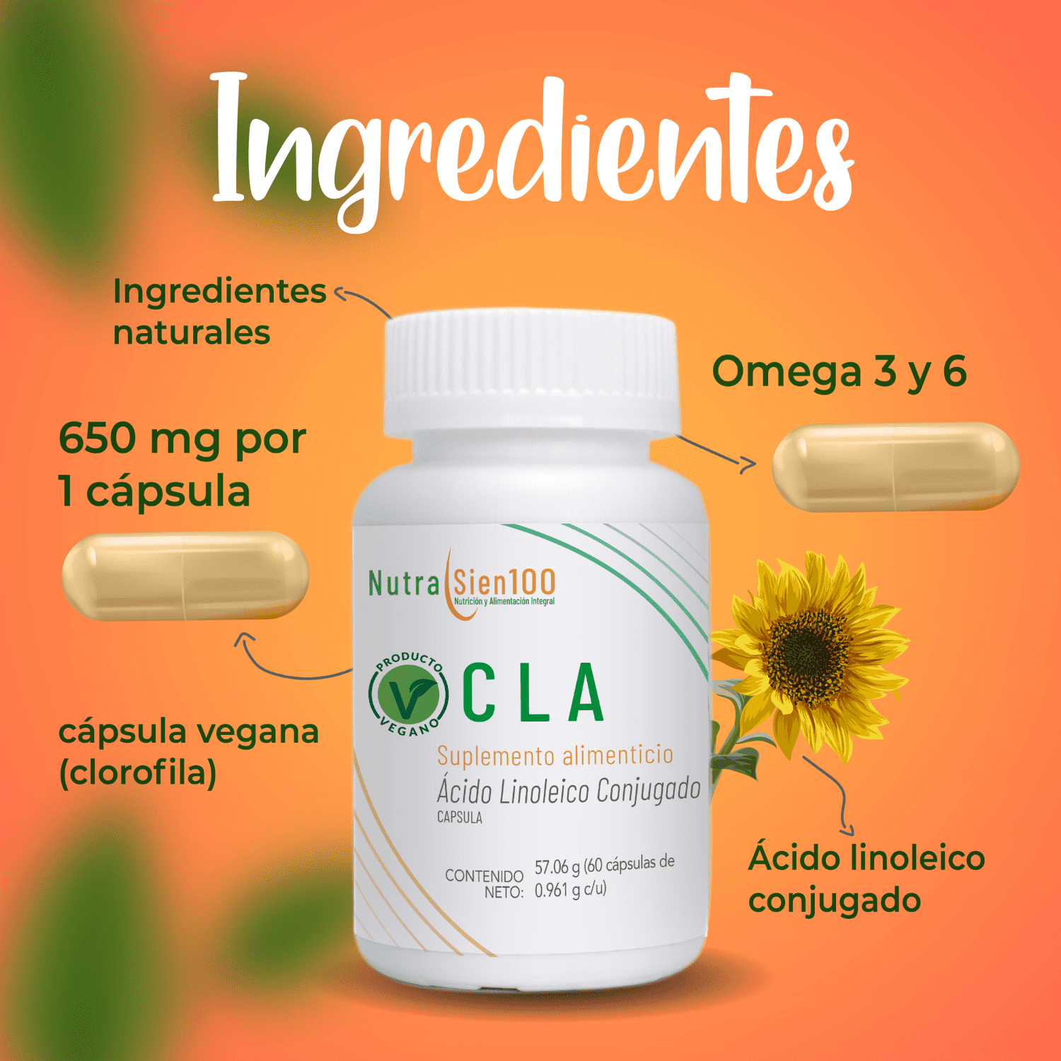 Cla Cápsulas. 600mg De Ácido Linoleico Conjugado. Suplemento Vegano. 60 Caps