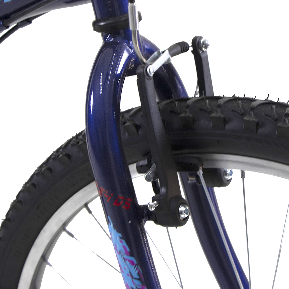 Bicicleta WOLF Montaña R24 Acero 18V. Azul Oscuro Hombre