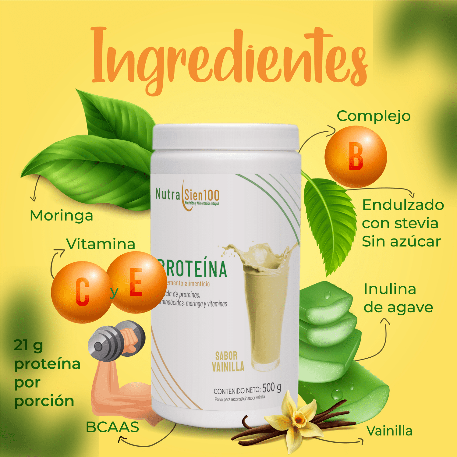 Nutrasien100 Proteína en polvo sabor Vainilla 22 g proteína por porción Keto Pre workout Sin Azúcar 500g - 17 porciones