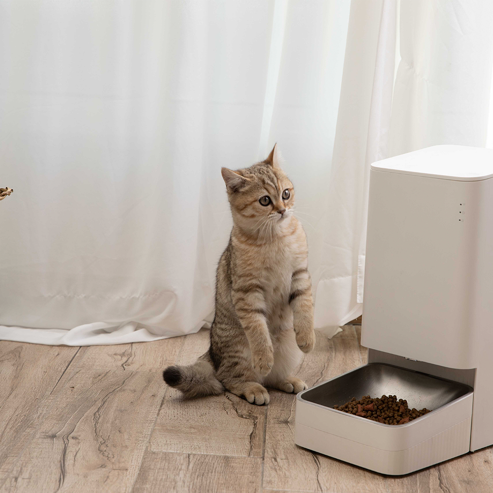 Comedero Inteligente Xiaomi Smart Pet Food Feeder