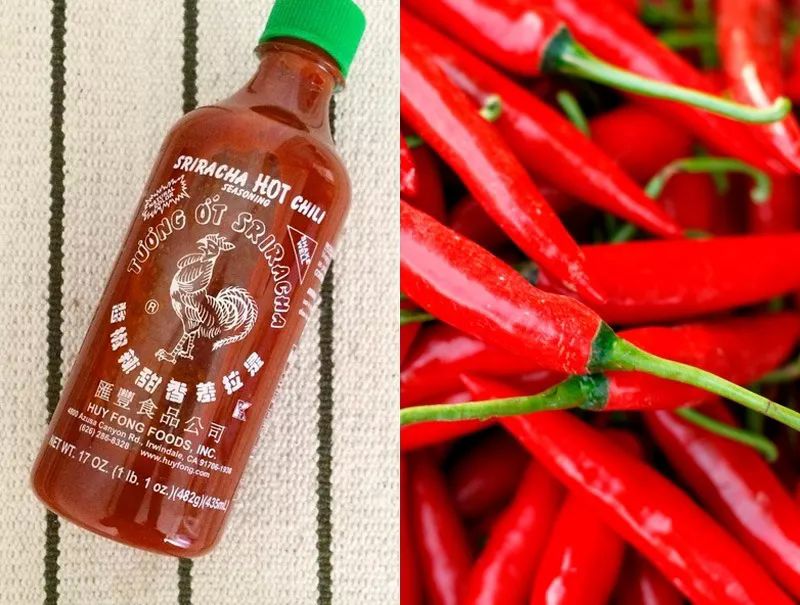 Sriracha Hot Chili Sauce Huy Fong Foods 481g Siracha Salsa Original del Gallito