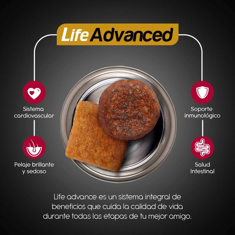 Alimento para Perro Ganador Premium Razas Medianas y Grandes 21 Kg