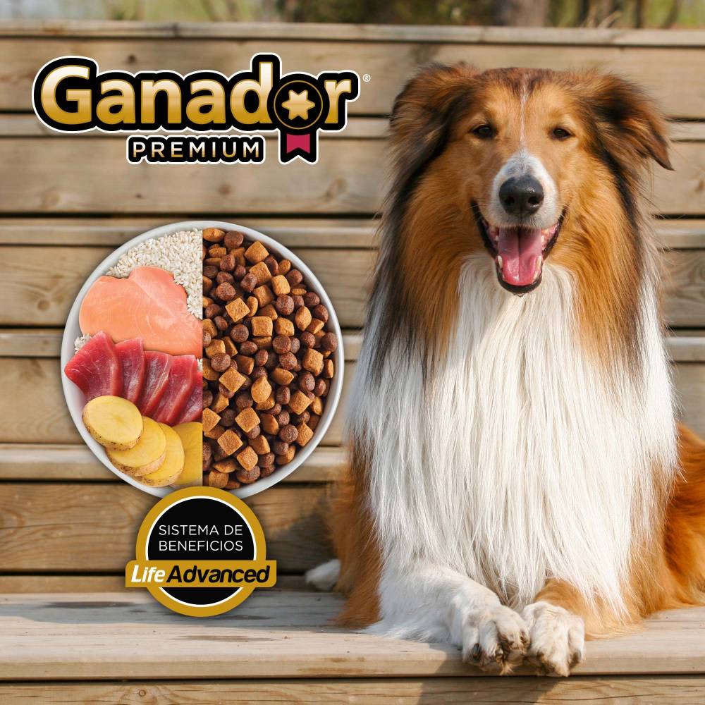 Alimento para Perro Ganador Premium Razas Medianas y Grandes 21 Kg