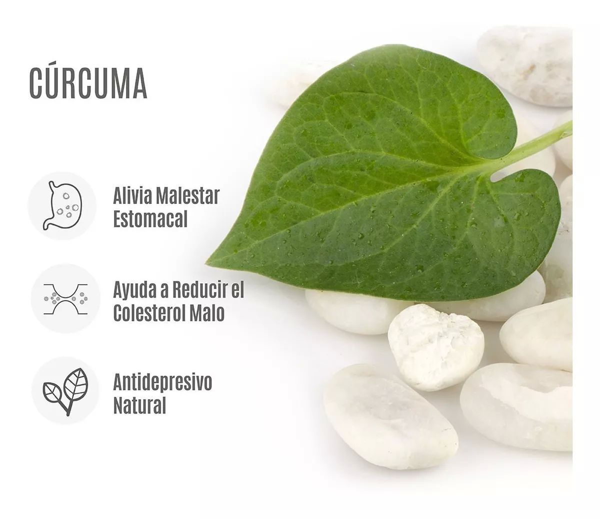 Cúrcuma + Vitamina C- Antioxidante - 60 Cápsulas - Naturelab
