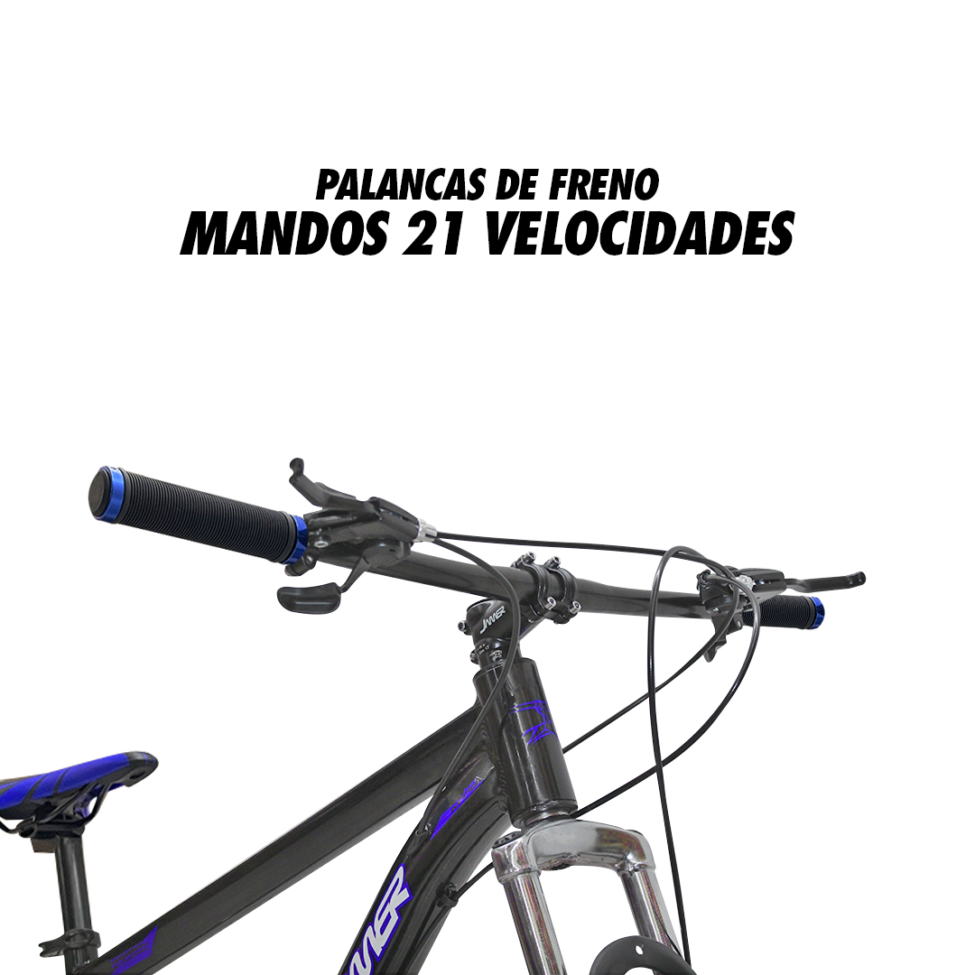 Bicicleta R29 Mtb Azul Suspensión 21 Vel Freno De Disco Mecánico