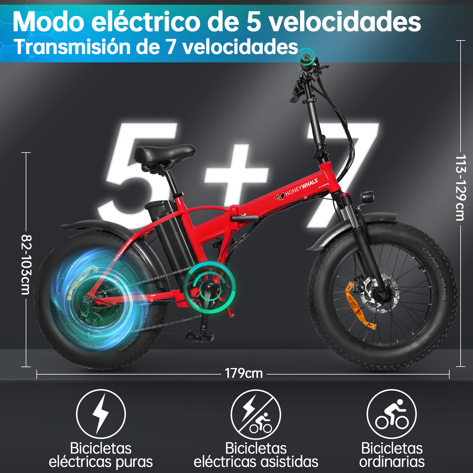 Bicicleta Eléctrica Plegable Honey Whale F6 Gris