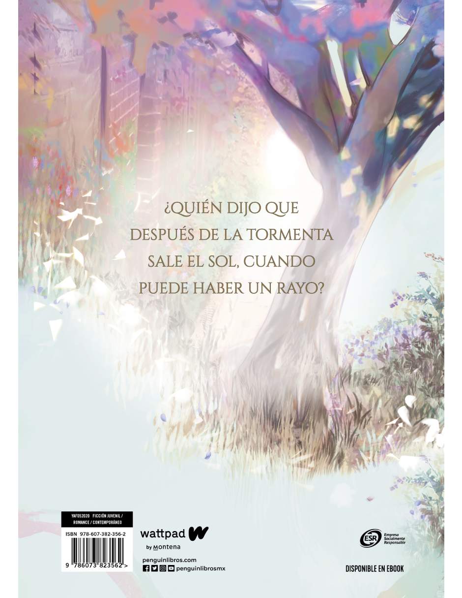 Libro Boulevard Edición Ilustrada Autor Flor M Salvador 