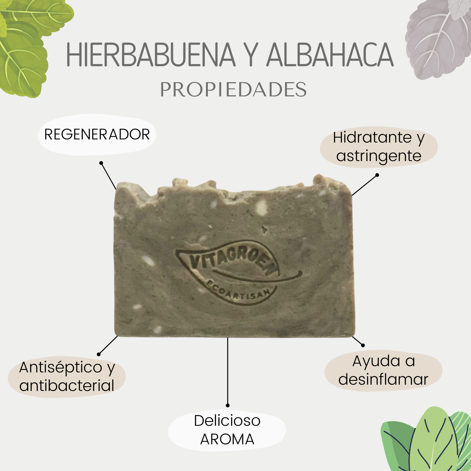 Jabón Grande regenerador (250 gr) de HIERBABUENA Y ALBAHACA - artesanal, 100% natural y libre de tóxicos
