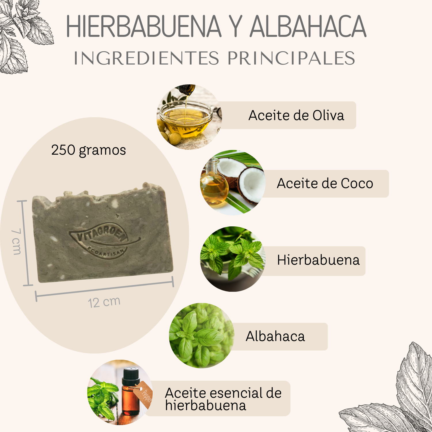 Jabón Grande regenerador (250 gr) de HIERBABUENA Y ALBAHACA - artesanal, 100% natural y libre de tóxicos