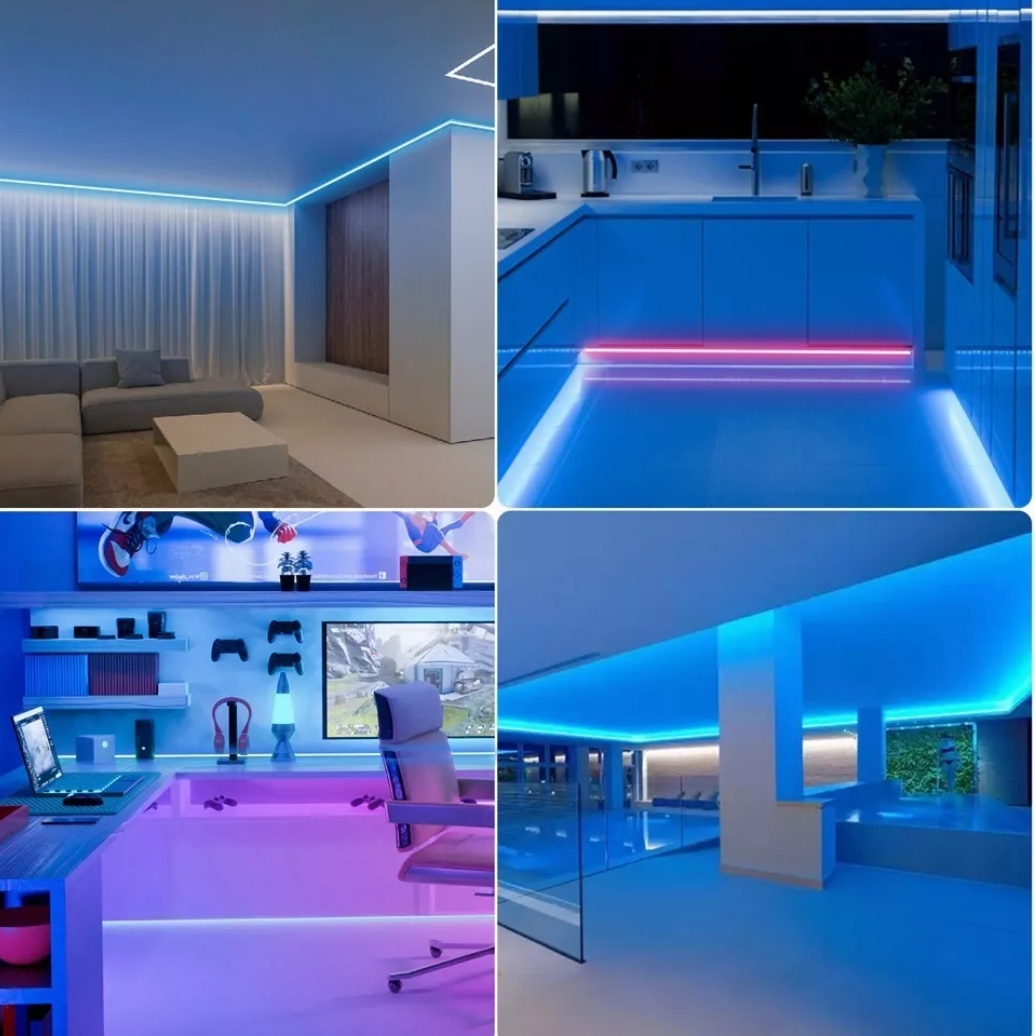 Tiras De Led Luz De Neón Flexible 5m Manguera Con Fuente 12v azul 