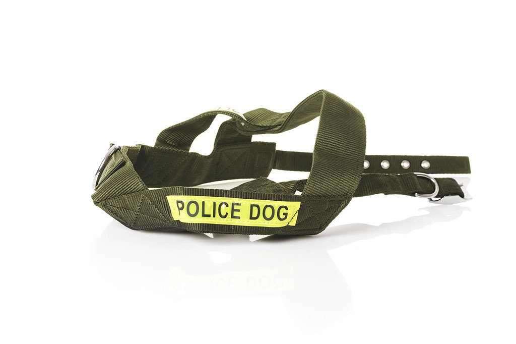 Kit Táctico De Arnés Pechera Resistente Con Correa Perros