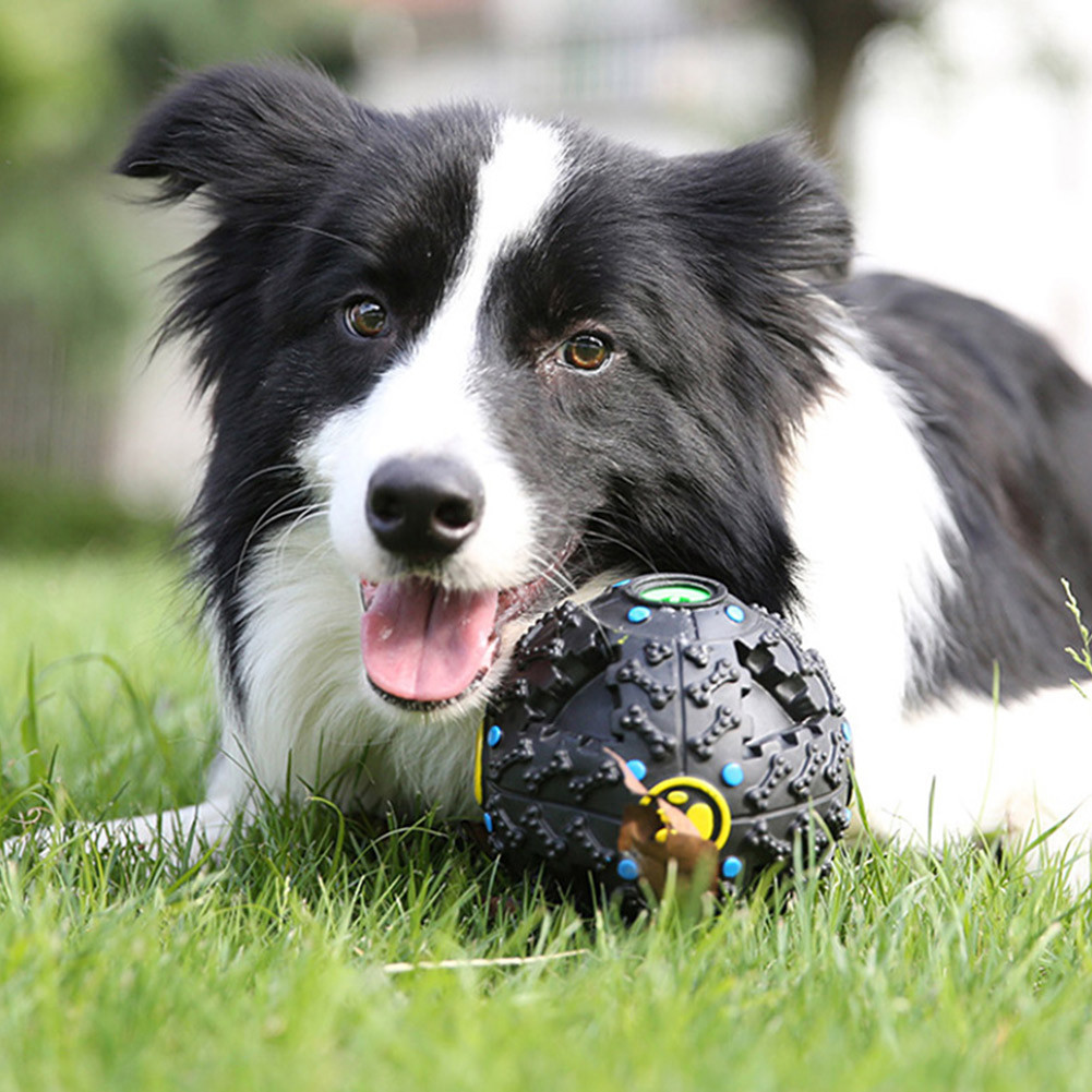 Juguete Dispensador Pelota Mordedera Para Mascota Perro Gato