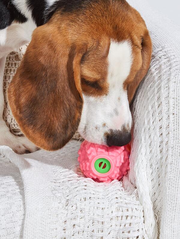 Juguete Dispensador Pelota Mordedera Para Mascota Perro Gato