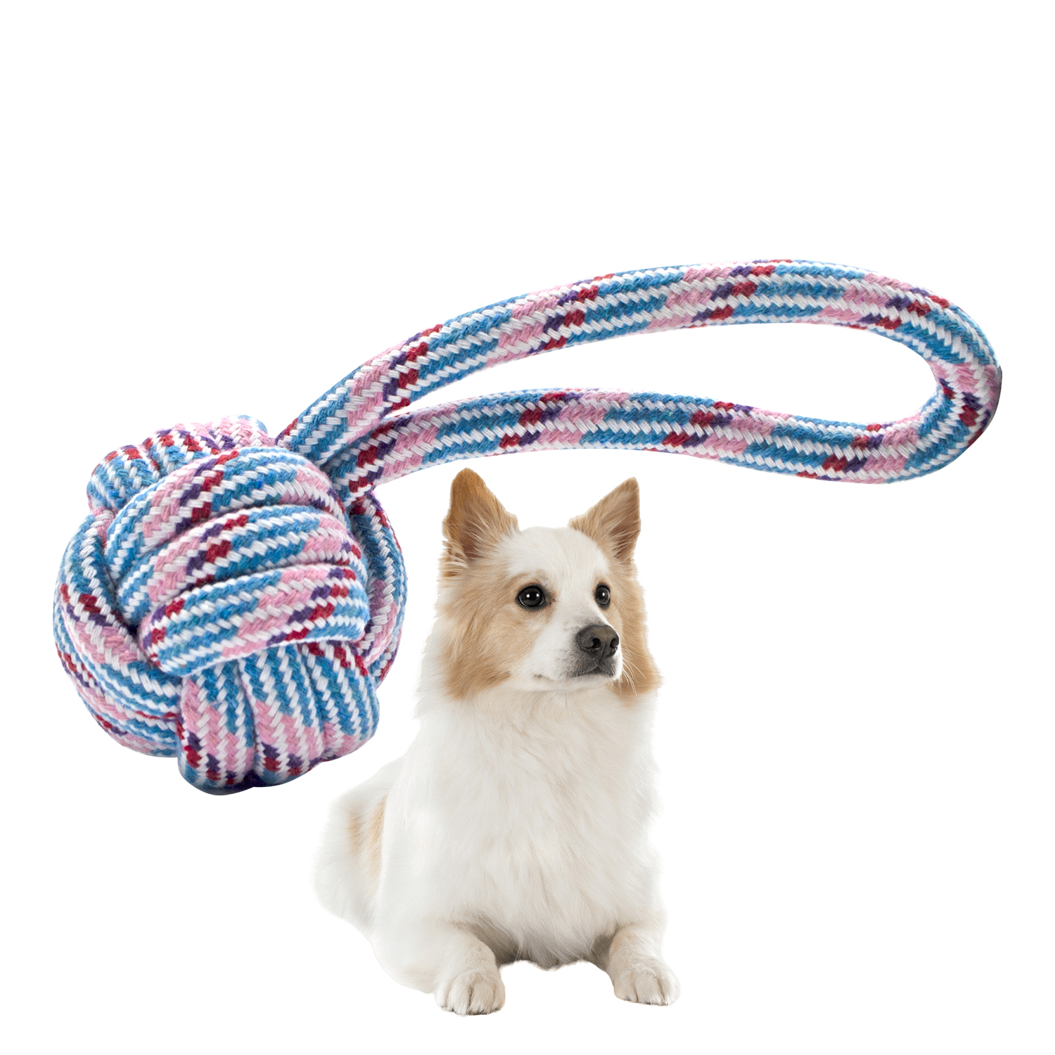 Pelota Para Perro Entrenador Mordedera Perro De Hilo Resistente