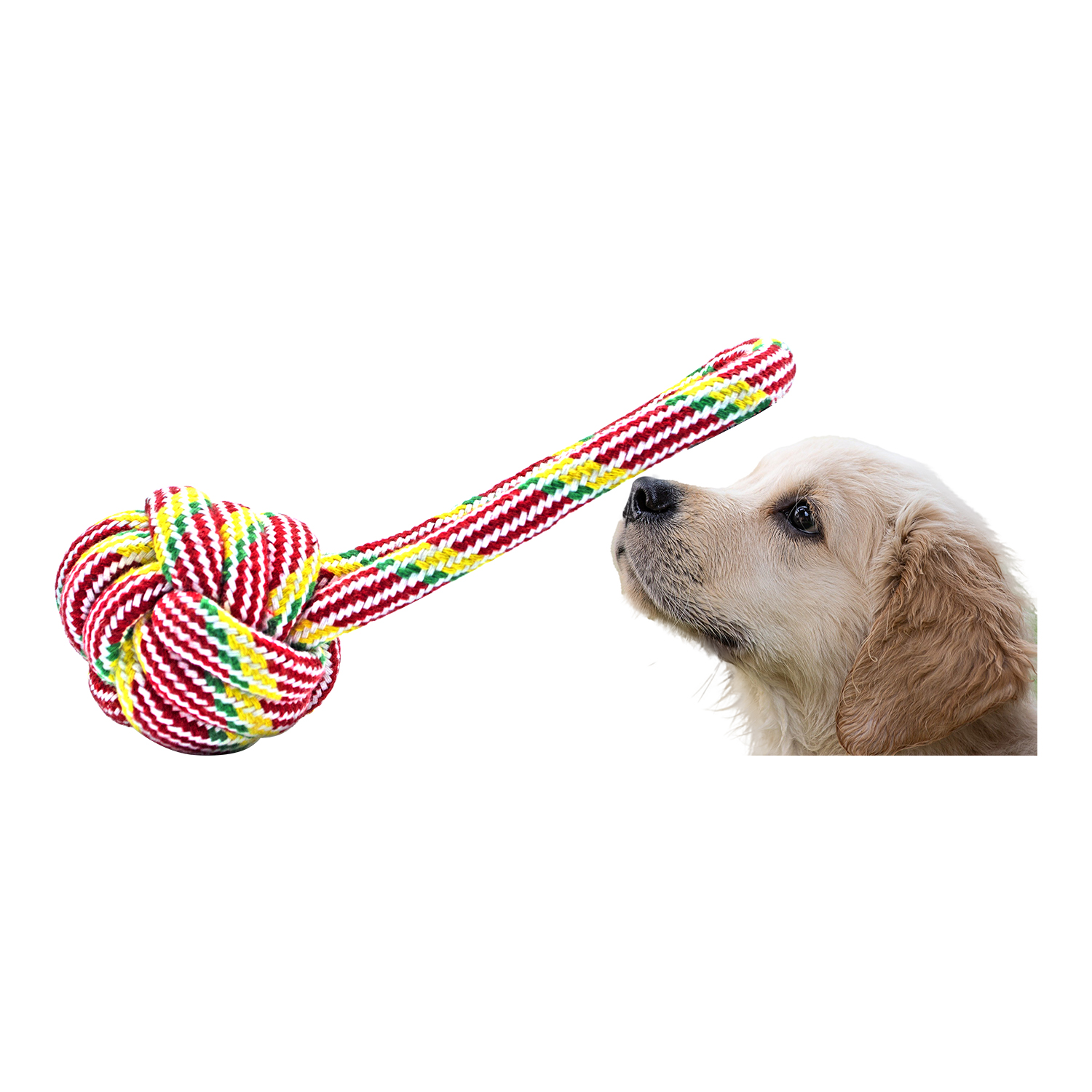 Pelota Para Perro Entrenador Mordedera Perro De Hilo Resistente