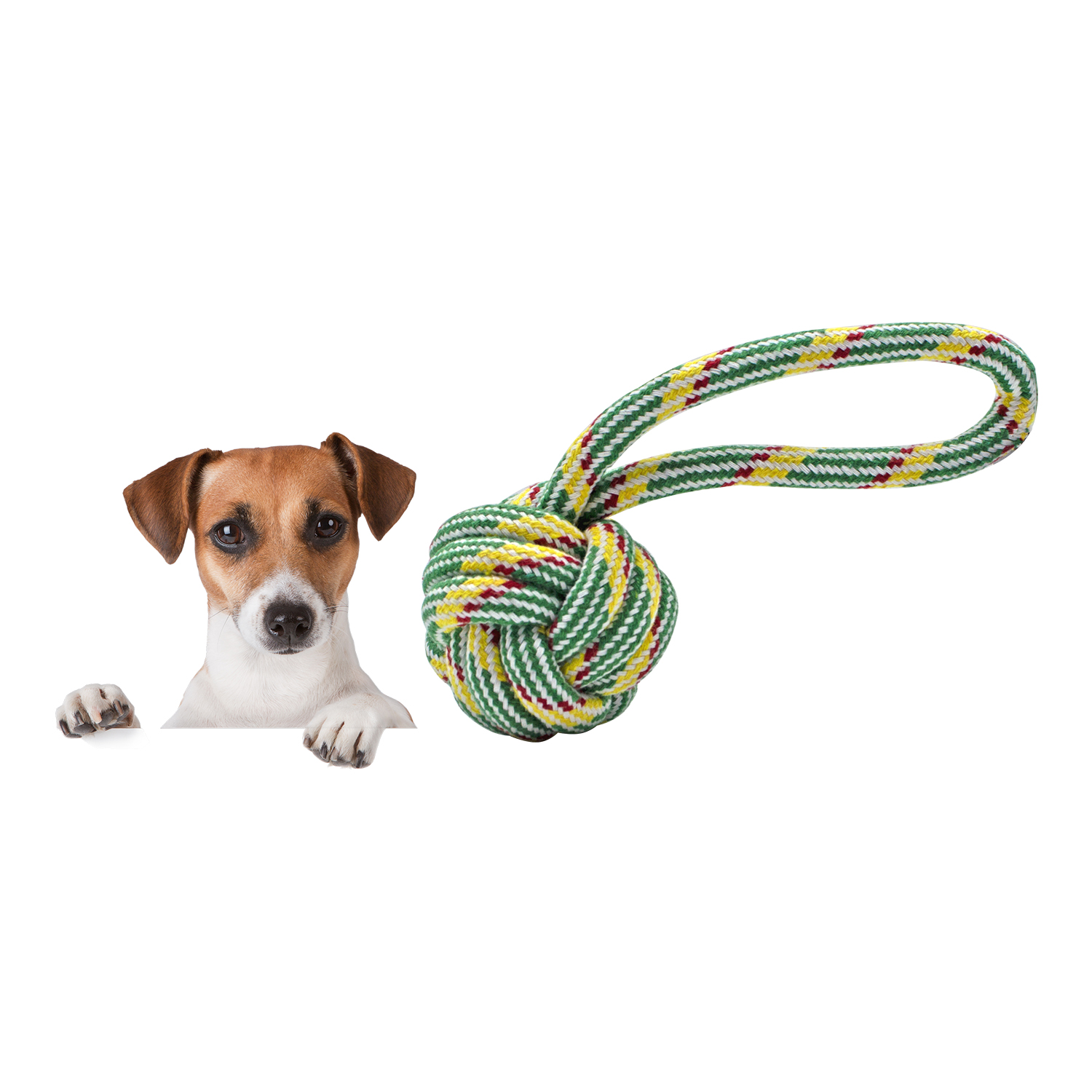 Pelota Para Perro Entrenador Mordedera Perro De Hilo Resistente