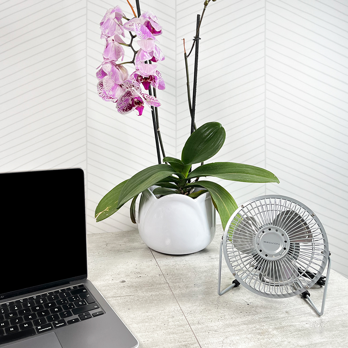 Ventilador  para Escritorio oficina de usb personal portátil Beckon BV-10 15.2 cm