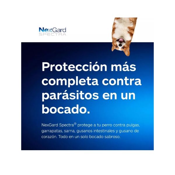 NEXGARD SPECTRA 15.1 - 30 KG L 3TABLETAS MASTICABLE (MORADO)