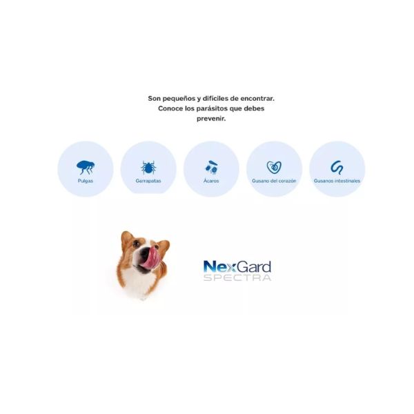 Nexgard Spectra 30.1 - 60 Kg Xl 3tabletas Masticable (rojo)