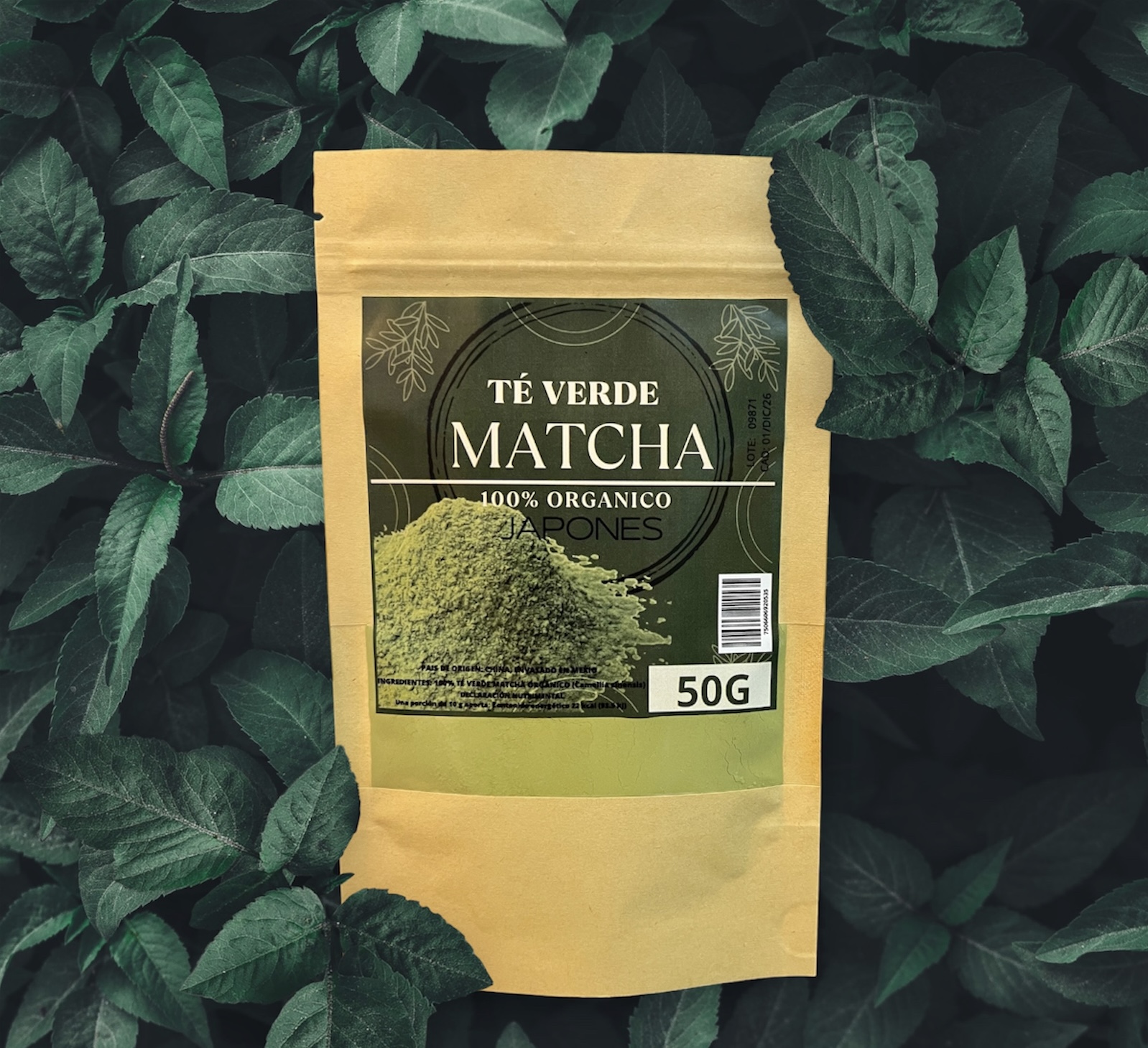 Té Matcha en Polvo Orgánico 50 g | Rinde Hasta 16 Tazas | Alto Aminoácidos Para Postres y Bebidas Hoja Té Verde Pulverizada Manera Tradicional