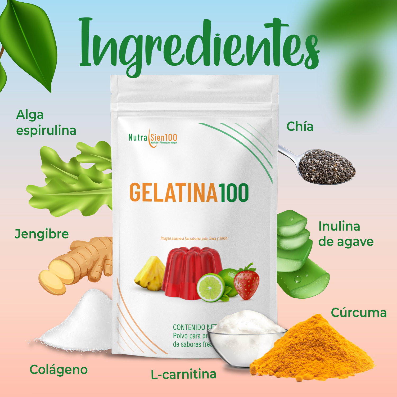 GELATINA en polvo Sin Azúcar. Carnitina Colágeno Prebiótico Saludable Keto Paleo