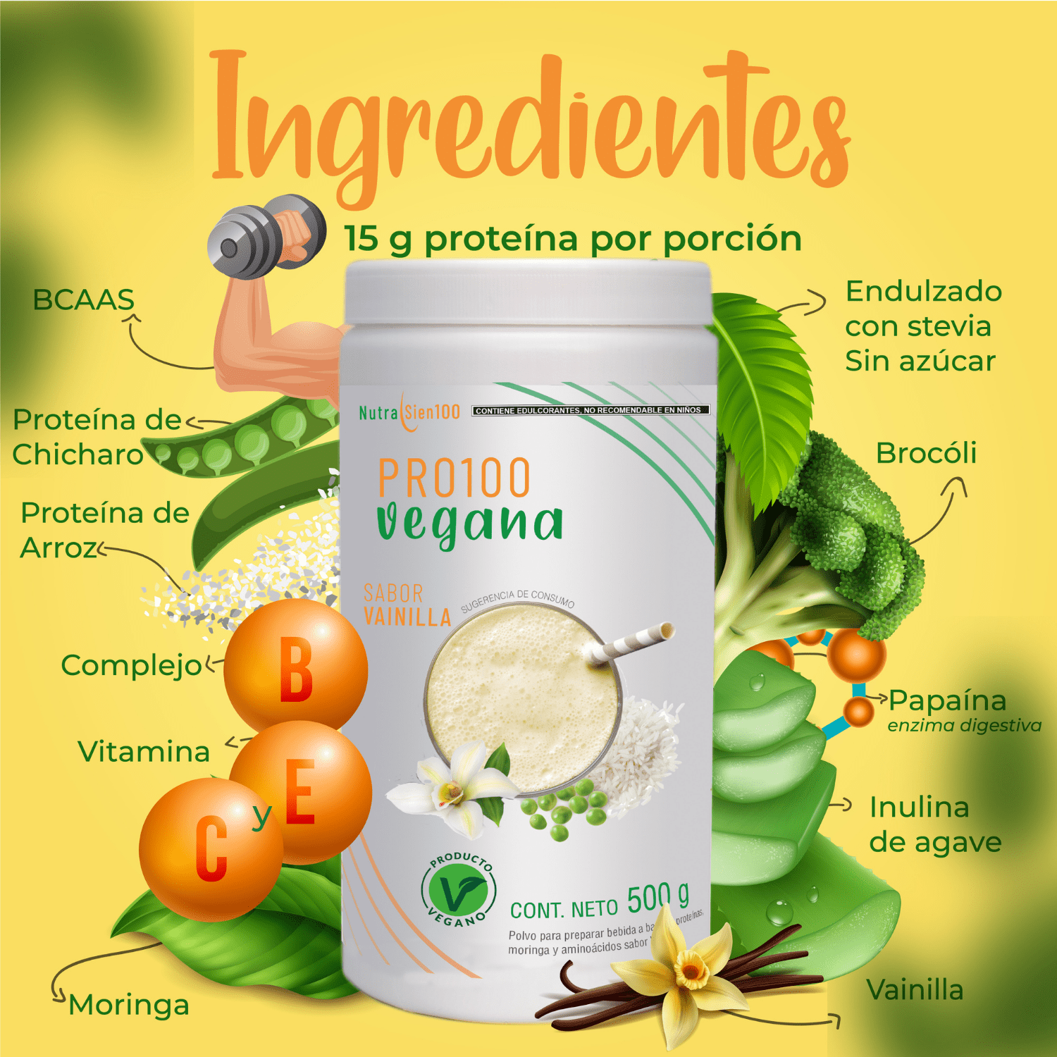Nutrasien100 Proteína Vegana sabor Vainilla. Ideal para Keto, Pre workout, Vegano, Paleo. Sin azúcar. Fácil digestión. Ideal hombres y mujeres. 500g – 17 porciones. Pro100 vegana