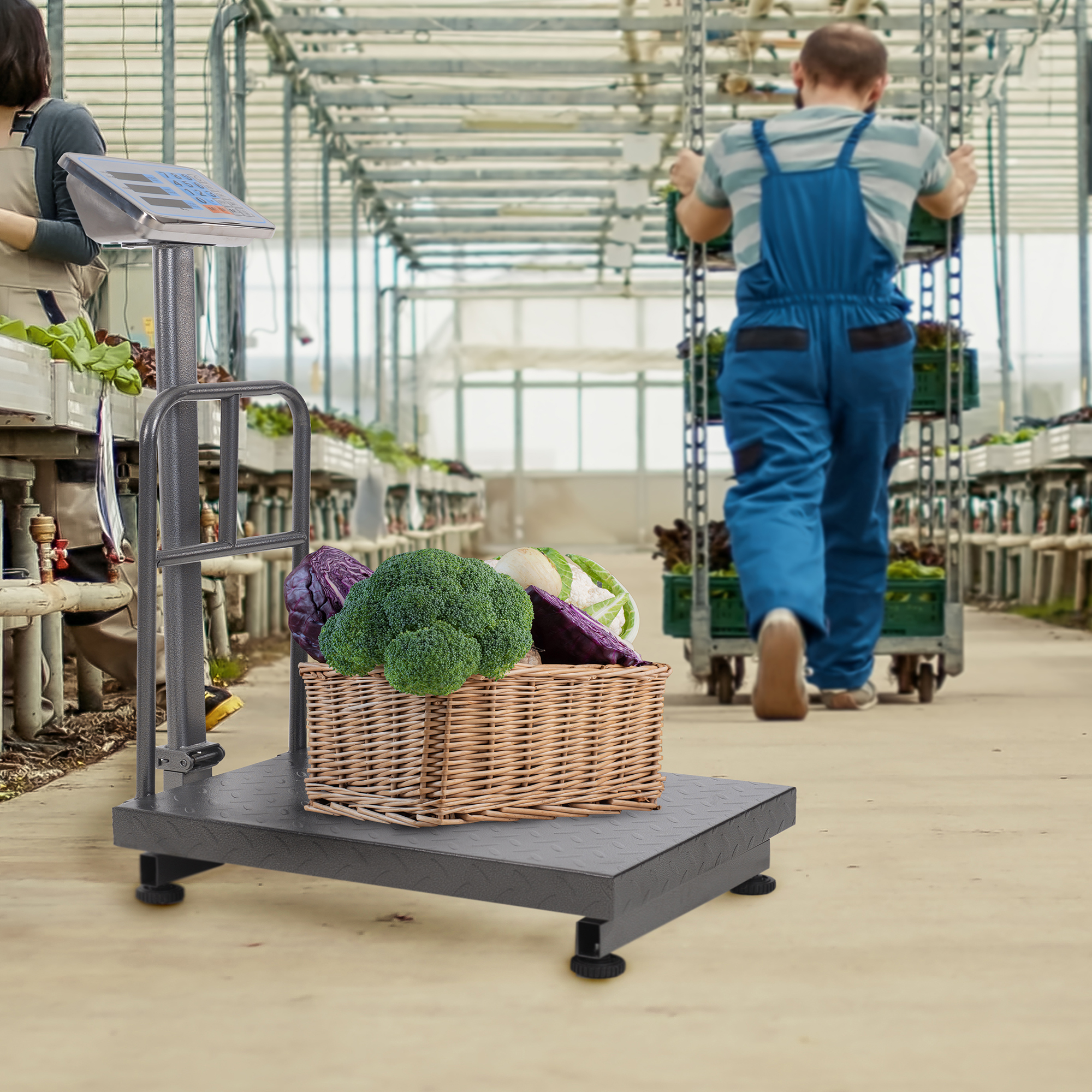 Bascula Comercial Industrial Digital 400 Kg 110v Uso Rudo.