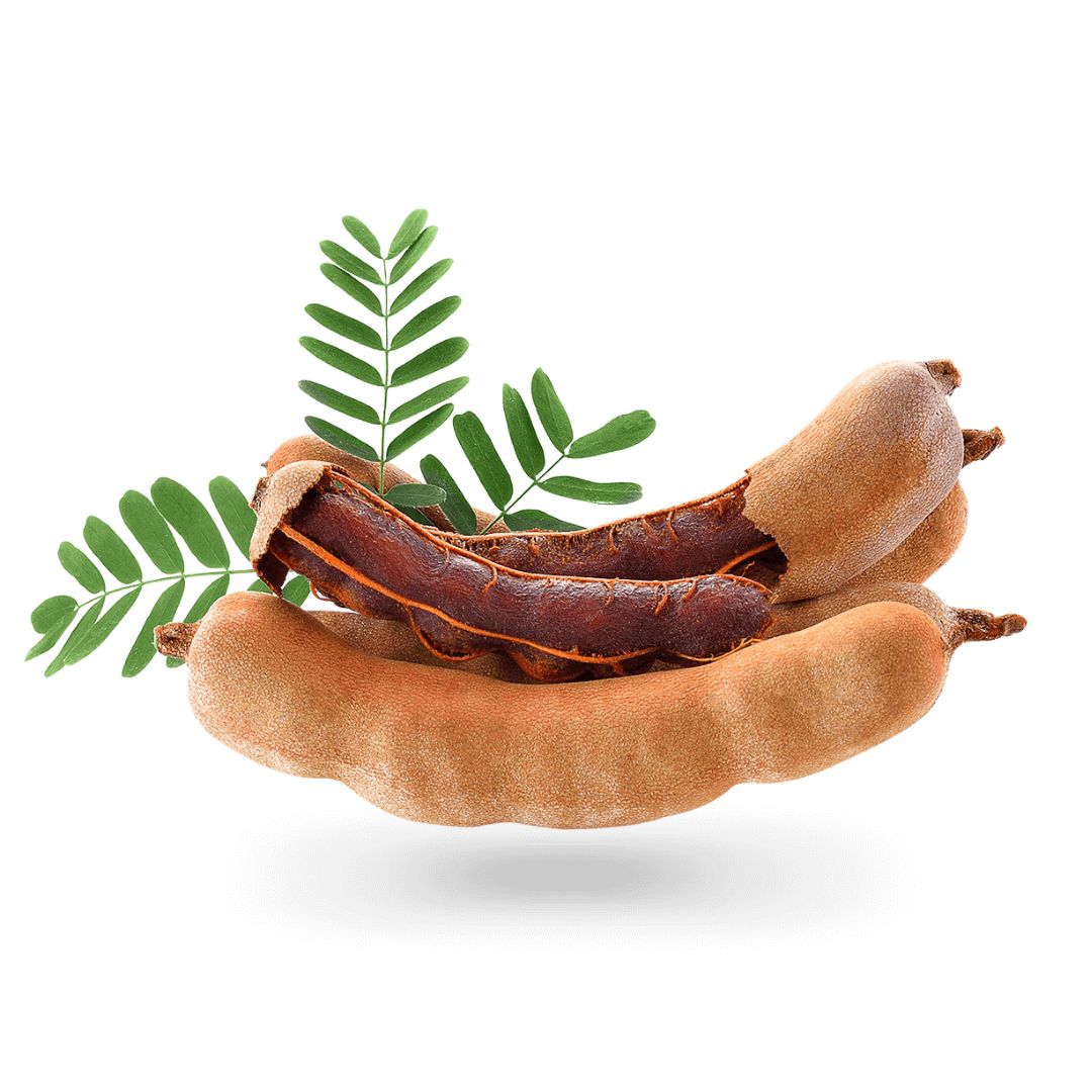 Creatine Blend Myo Vector Creatina 500g Sabor Tamarindo