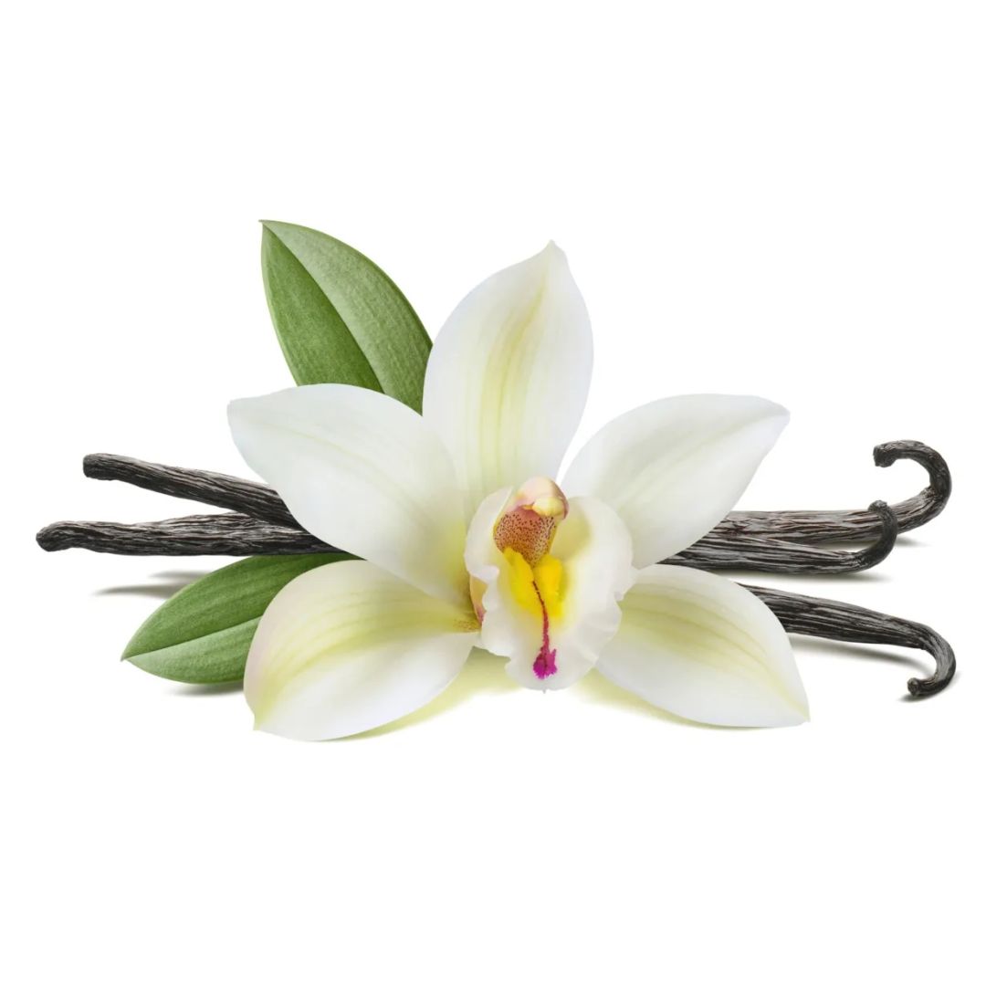 Proteina Ganador 12 Lb Puro Campeon Sabor Vainilla