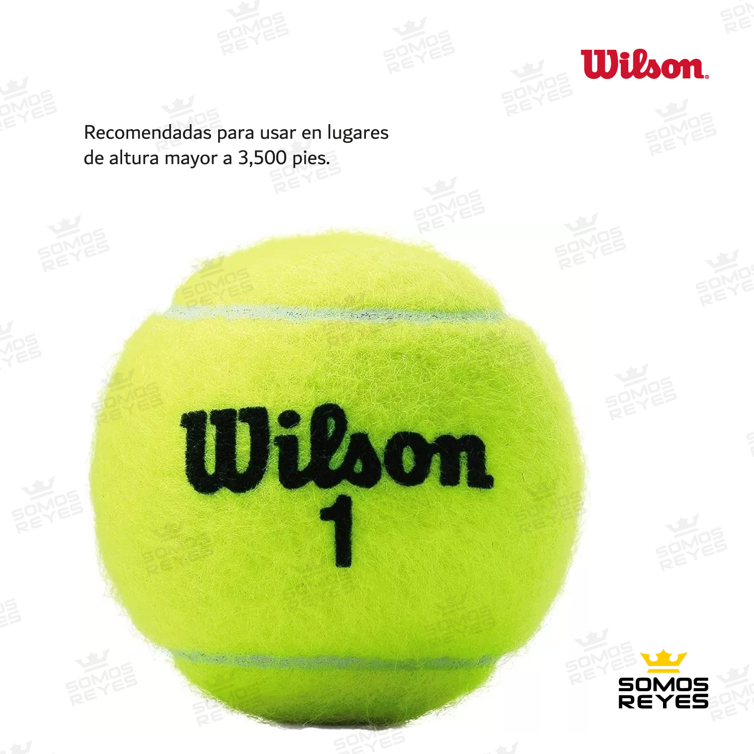 Pelotas Tenis Wilson Championship Sin Presion 3 Botes 9 Pzs 
