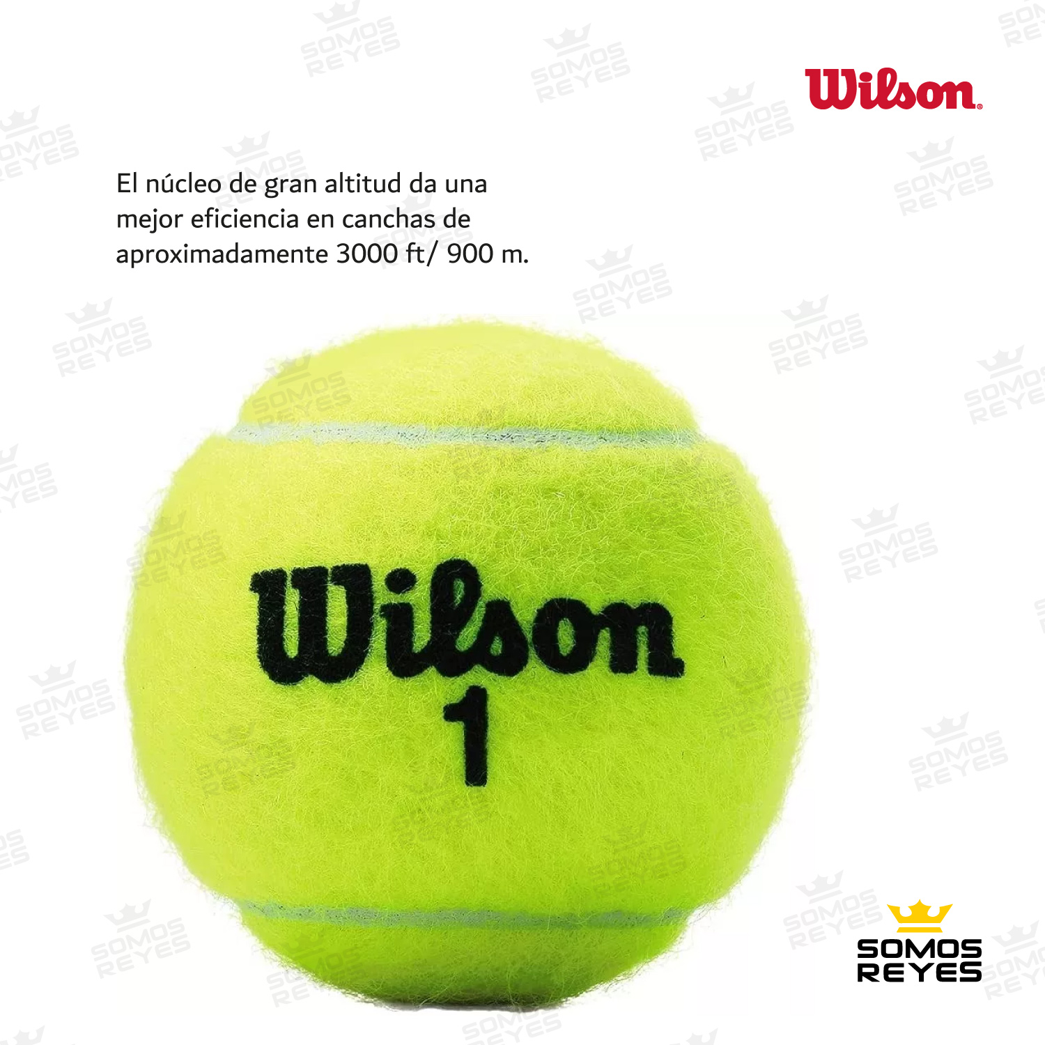 Pelotas Tenis Wilson 2 Botes 6 Pcs Championship Presurizadas 