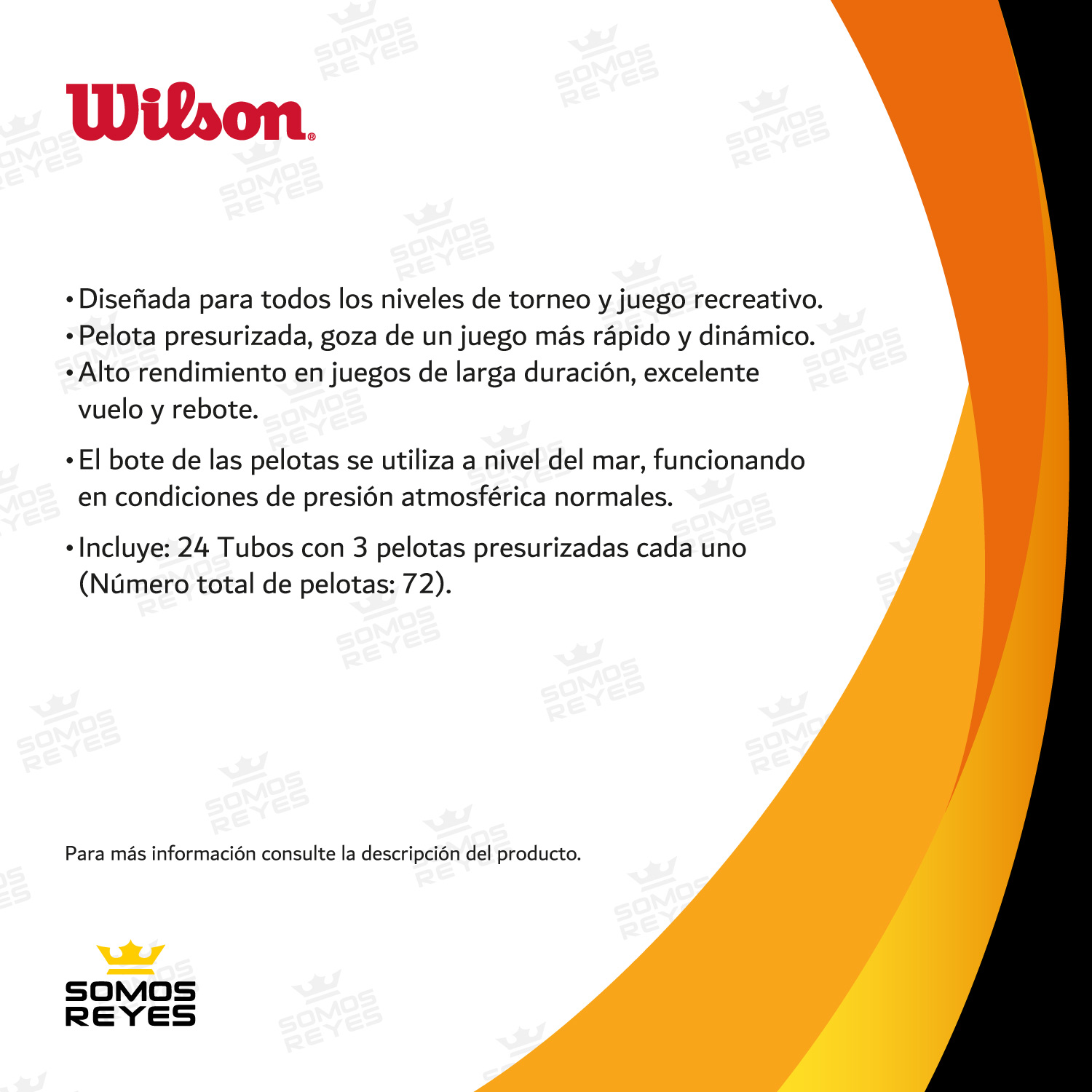 Pelotas Tenis Wilson 24 Botes 72pcs Championship Presurizada 