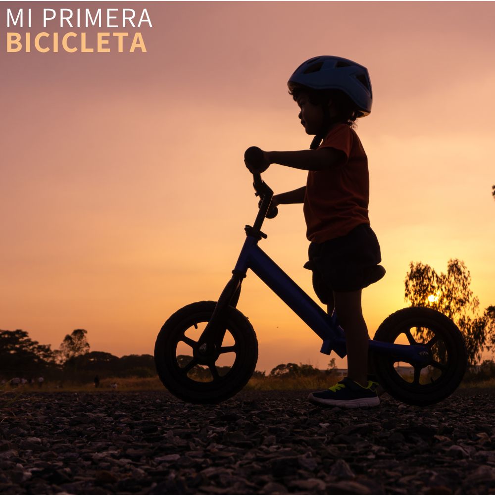 Bicicleta De Equilibrio Para Niños Ajustable Sin Pedales 
