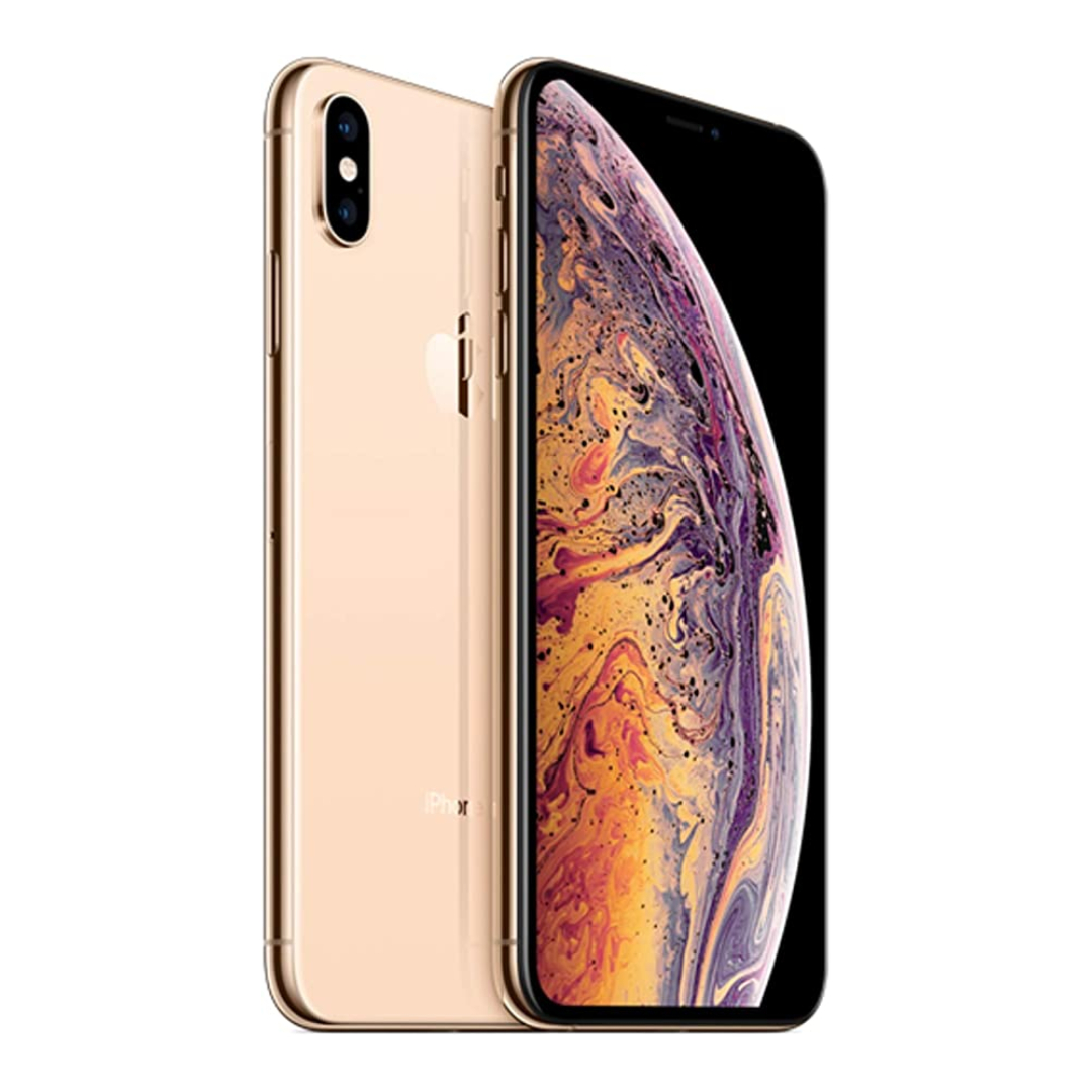 Celular Apple iPhone XS MAX 256gb Dorado reacondicionado grado B+