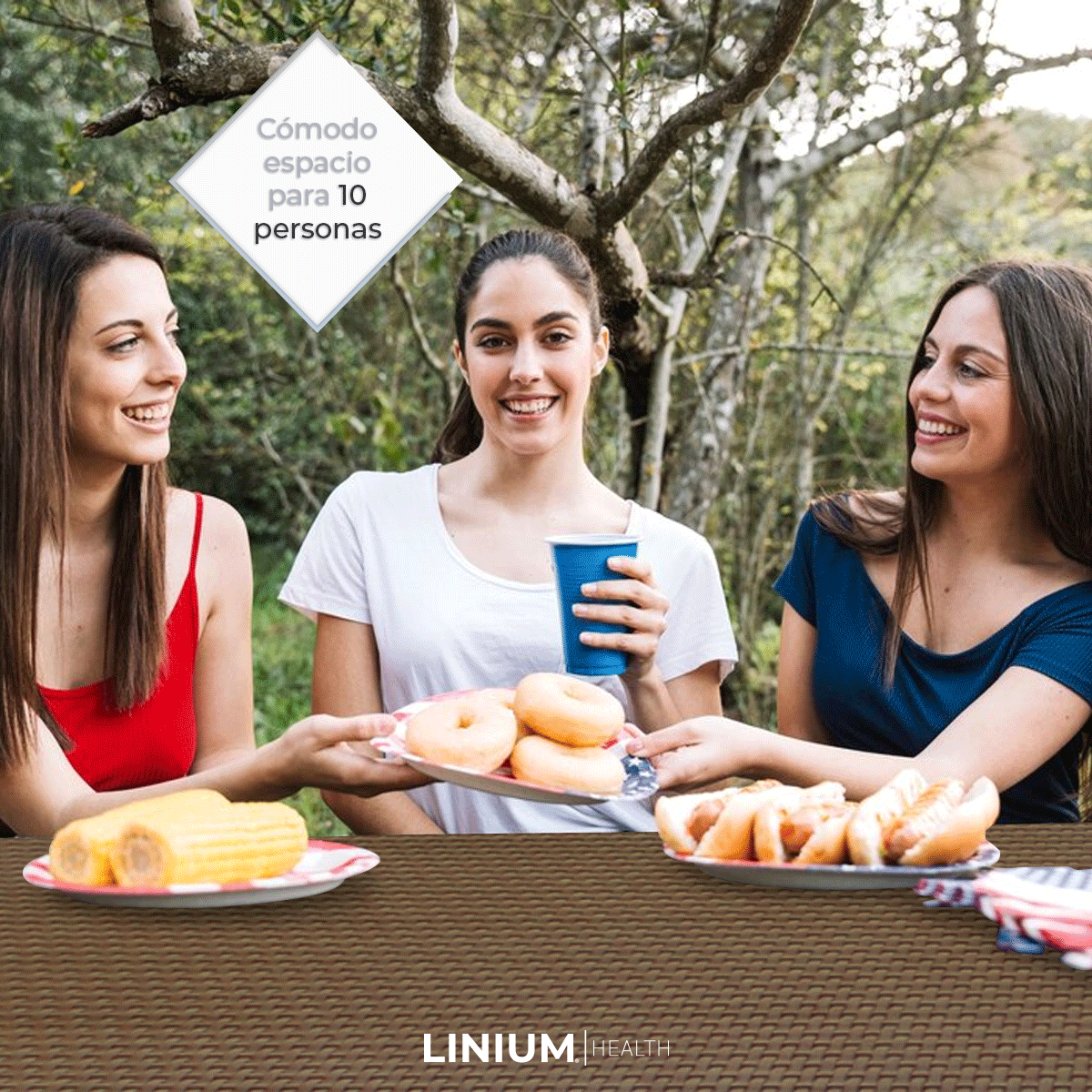 Linium Mesa Plegable 180 cm Plastico tipo Rattan para Banquetes