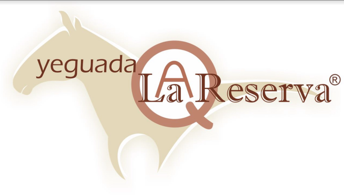 Duopack Shampoo Antipiojos Y Liendres - Yeguada La Reserva (2piezas)