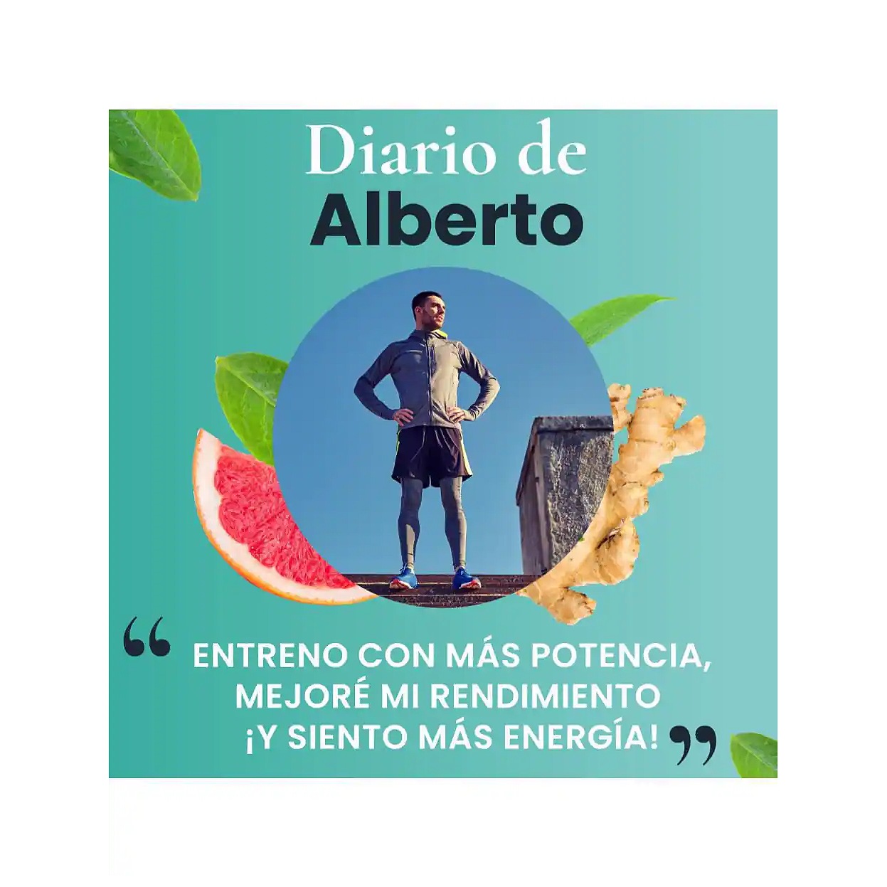 360 Capsulas Mens Testo Precursor Testosterona Fenogreco