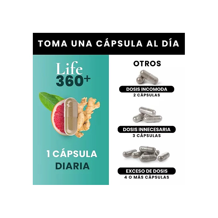 360 Capsulas Mens Testo Precursor Testosterona Fenogreco