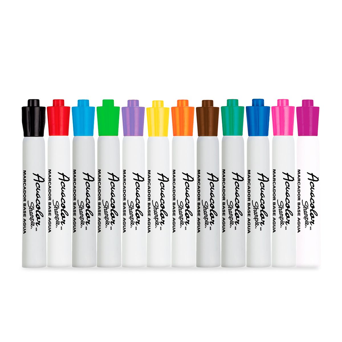 Marcadores Sharpie Acuacolor 12 pzas Punta cincel Base Agua