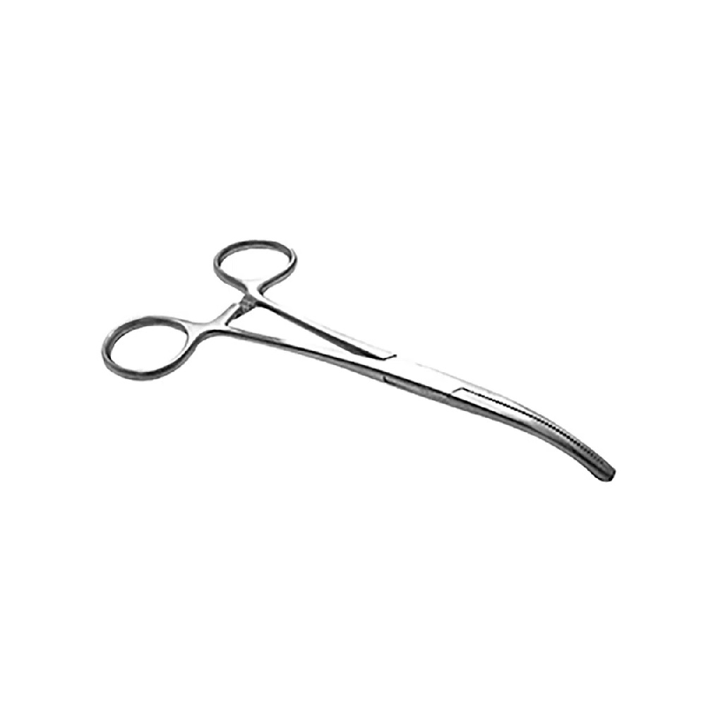 Pinza Curva Rochester Kocher 14cm Economica Hergom Silvery