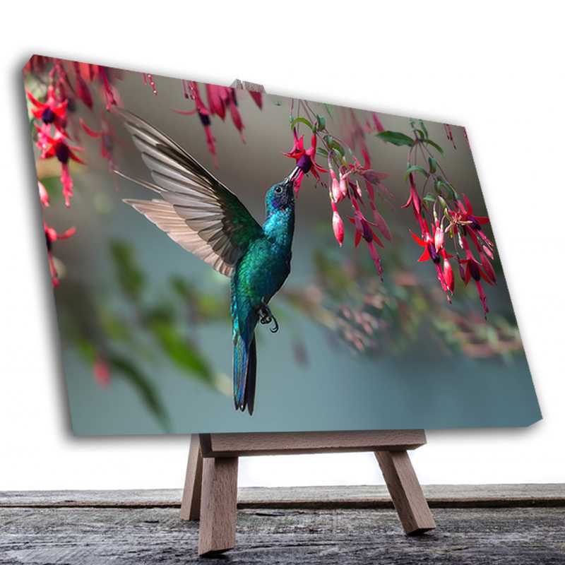 Cuadro Decorativo Canvas Ave Colibrí  60 X 40 cm #3