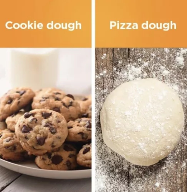 Licuadora Ninja 7 Funciones en 1 Reacondicionado/  CO401B   Reacondicionado(caja génerica)