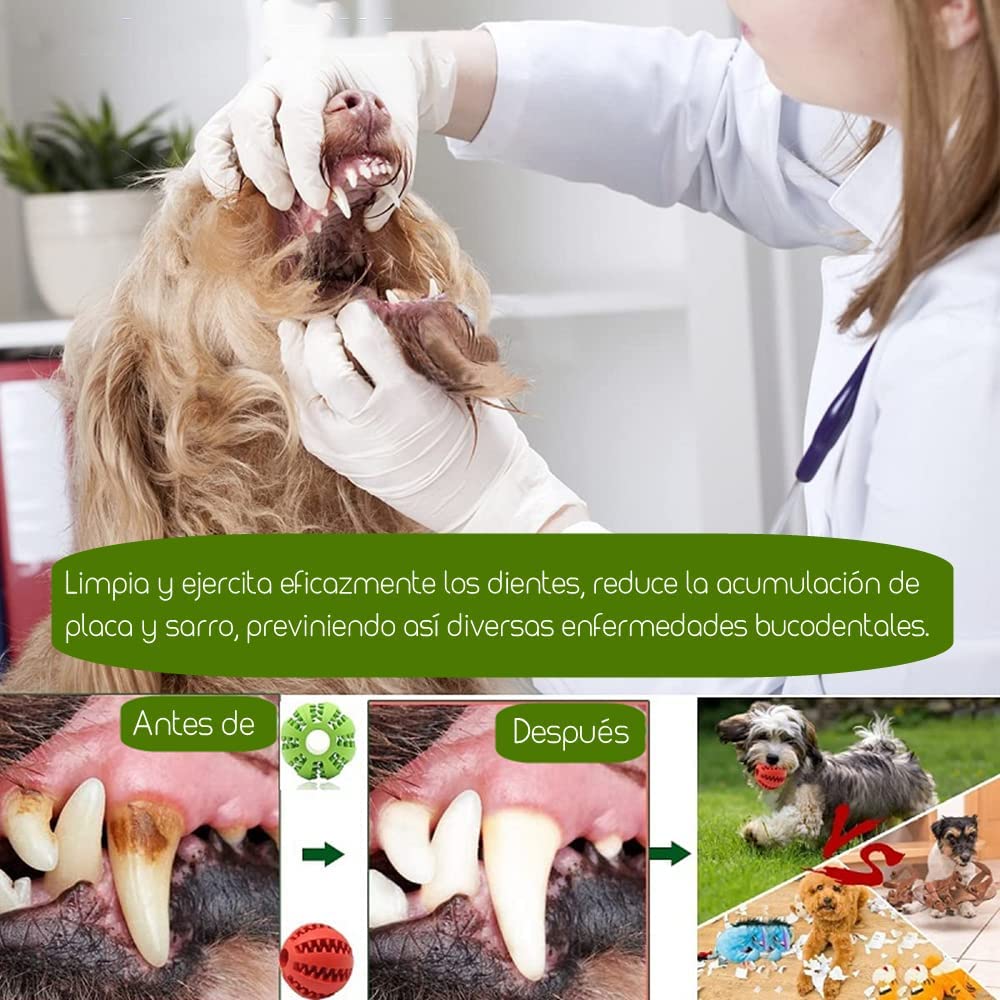 Pack 3 Juguetes para Limpiar los Dientes - AJR - Pelota Perro Indestructible, Goma No Tóxica